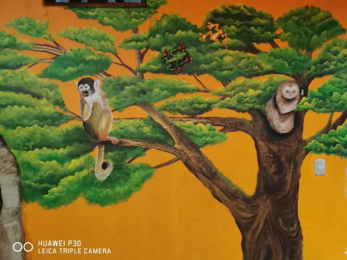 Costa Linda Art Hostel Мануель-Антоніо Екстер'єр фото